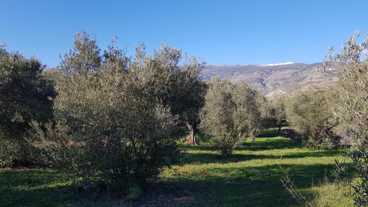 Gateway To The Alpujarras, 'Cortijo Derry' Hotel Orgiva Esterno foto