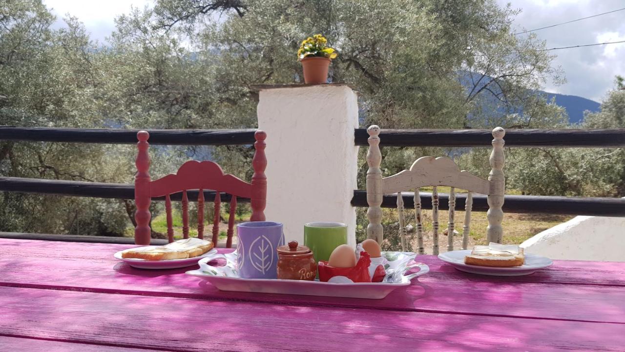 Gateway To The Alpujarras, 'Cortijo Derry' Hotel Orgiva Esterno foto