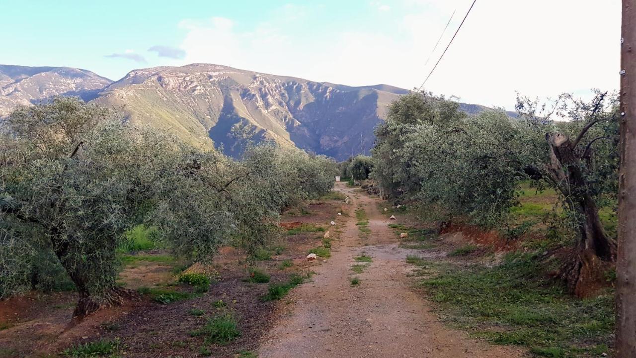 Gateway To The Alpujarras, 'Cortijo Derry' Hotel Orgiva Esterno foto